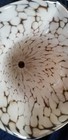 Bild 10 von 10
