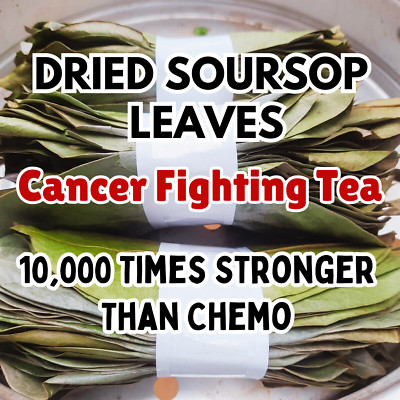 Dried Soursop Leaf Organic Natural Pure Soursop Guanabana Graviola Leaves