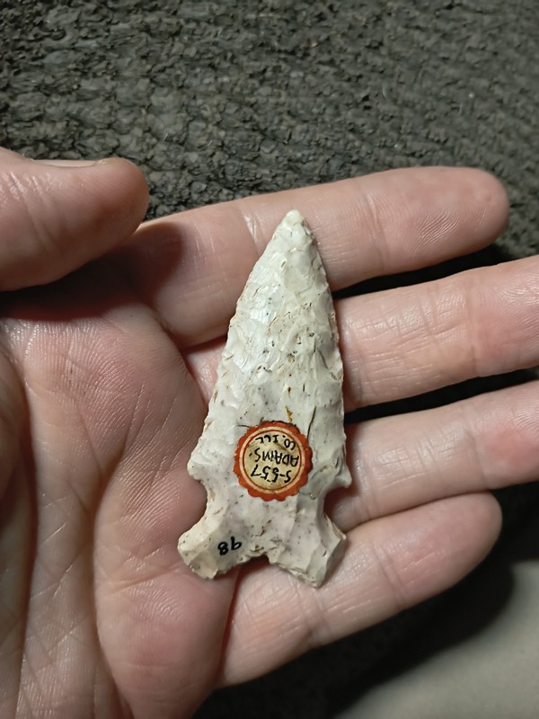 Authentic Illinois Early Archaic Graham Cave Point Indian Arrowhead Artifact