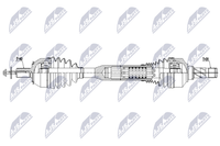 Nty NPW-VV-172