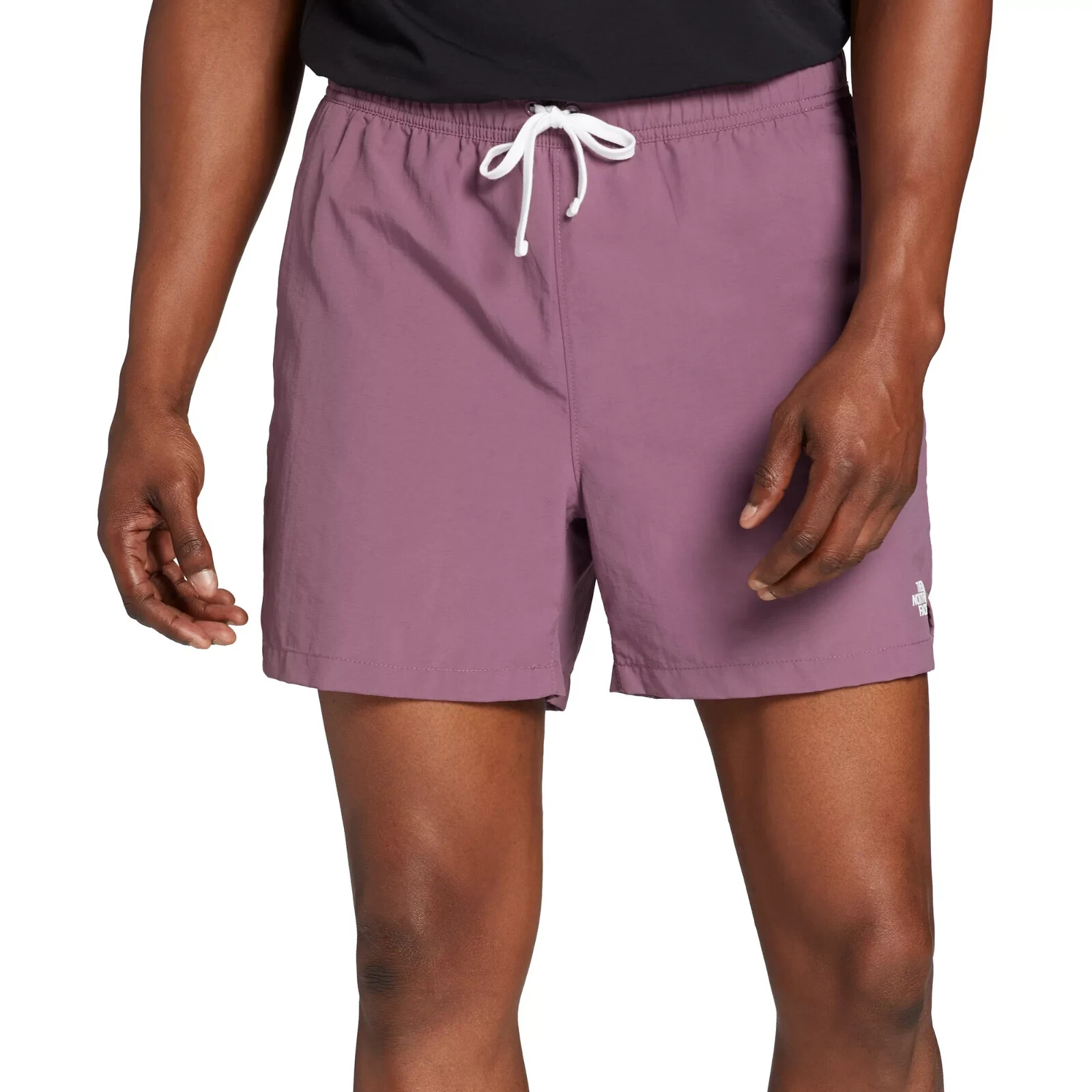 Мужские шорты The North Face Mens Action Woven 2.0 (темно-лиловый)