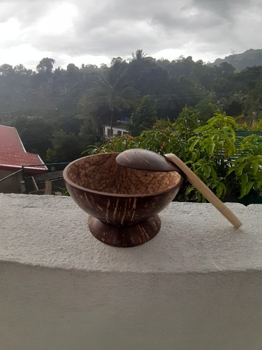 Original Coconut Shell Dessert Cup And Spoon Included Fully Hand crafted Natural - Picture 6 of 7