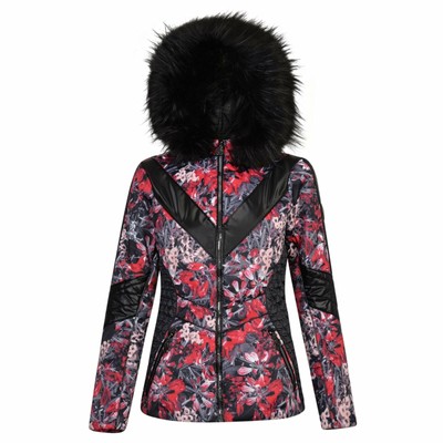 julien macdonald dare2b