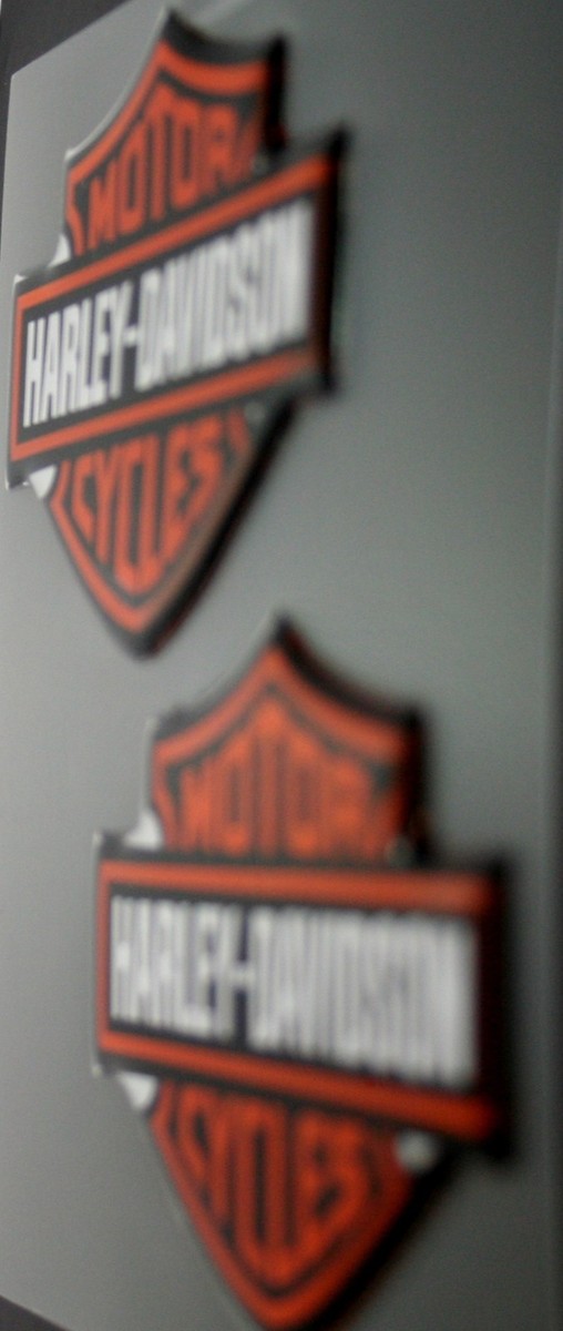 Harley-Davidson Domed Emblem Decal | Chroma 5507 | UPC