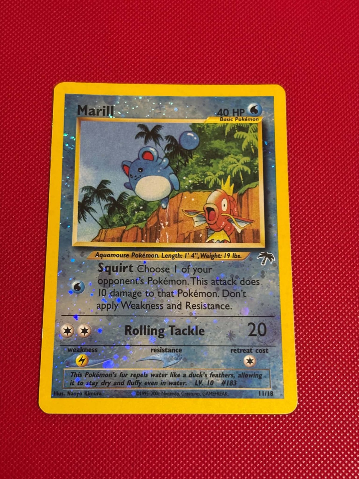POKEMON! Marill - Southern Islands 11/18 - Holofoil Promo - NM SWIRL 🌀