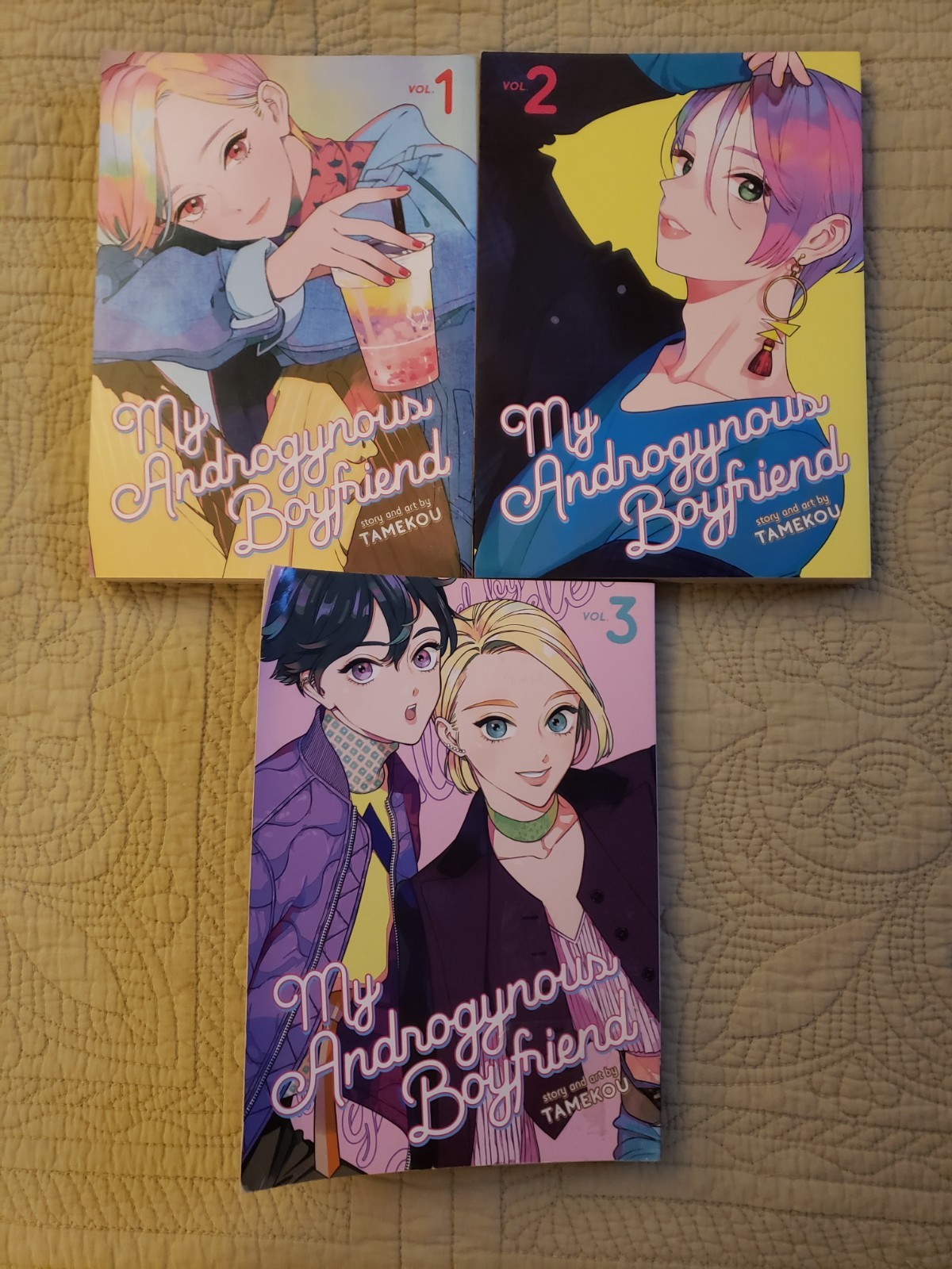 My Androgynous Boyfriend Tamekou Vol 1-3 Manga