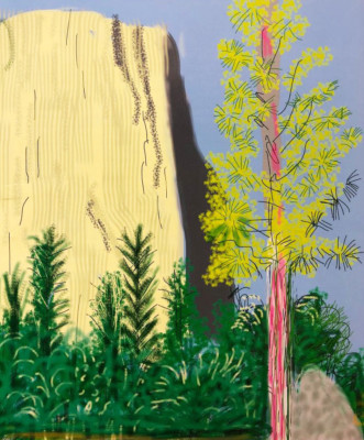 David Hockney 