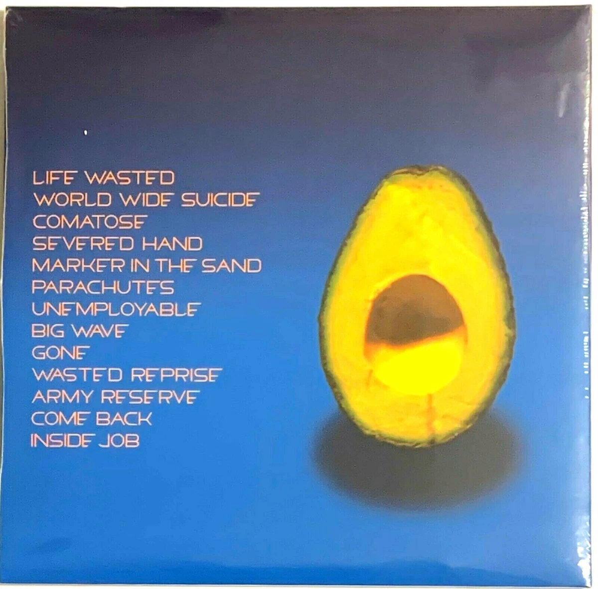 Pearl Jam Self Titled