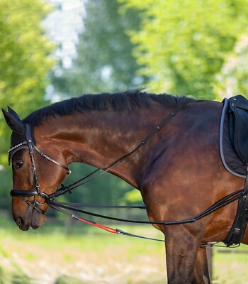 Waldhausen Dreieckszügel W-trainRein Longierbedarf Ausbinder Reiten oder Long...