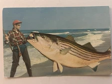 Postcard Ocean Humor The Little One That Didn't Get Away! Vintage Posted