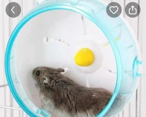 NEW SILENT HAMSTER WHEEL