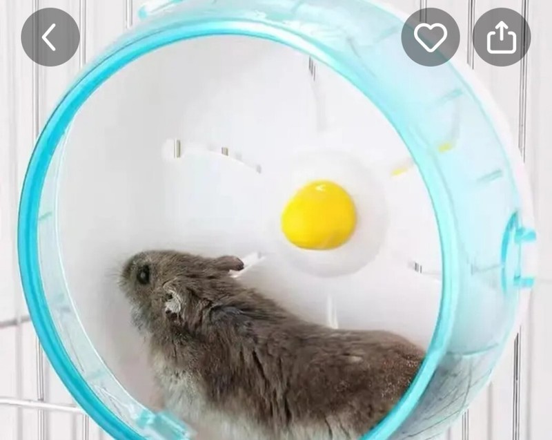 NEW SILENT HAMSTER WHEEL
