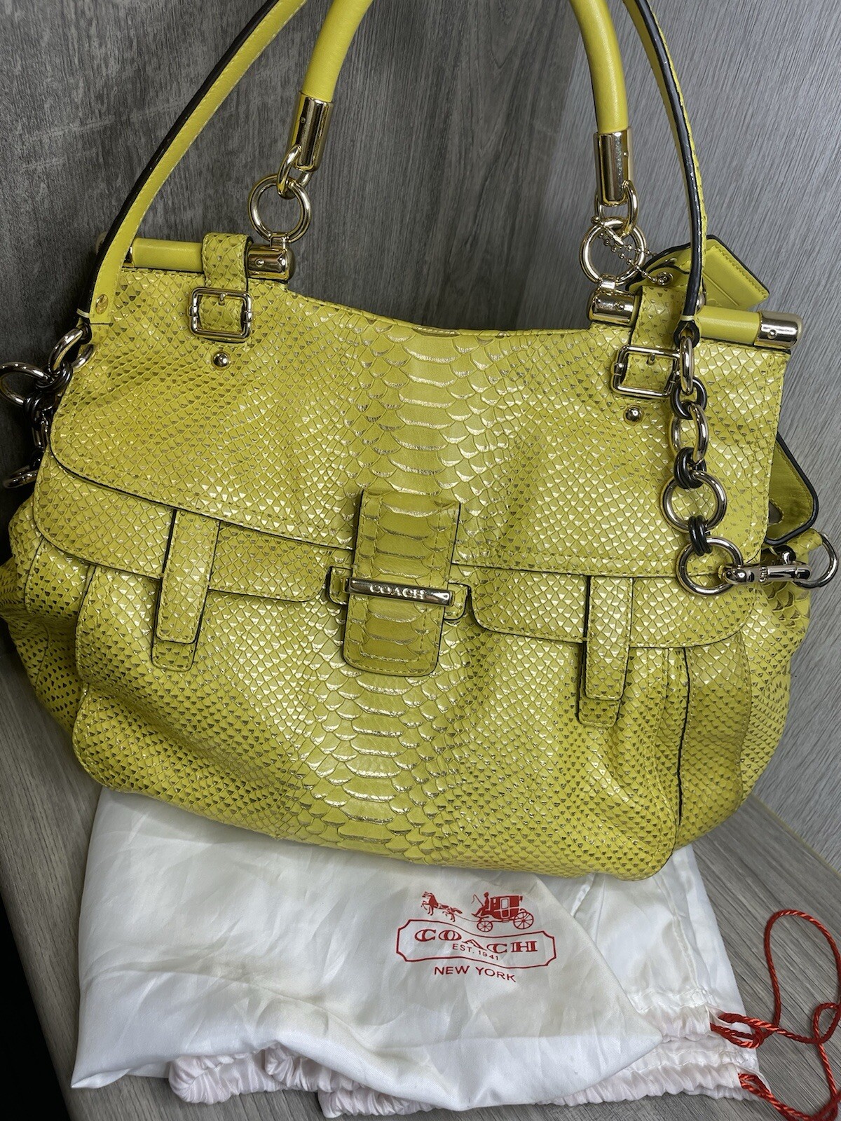 Coach ~ Abby Pinnacle Python Leather Crossbody Sa… - image 1