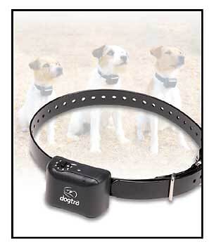 Dogtra YS300 No Bark Collar for Small to Medium Size Dogs