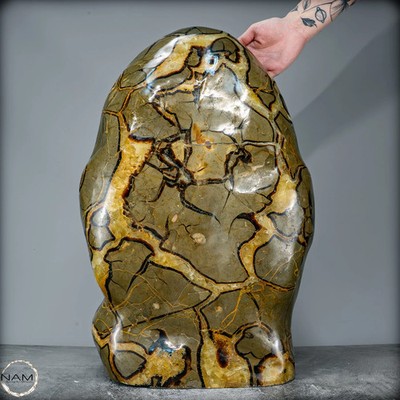Natural Septarium Freeform from Madagascar - 54429.38g