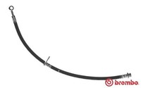 Brembo Bremsschlauch T 78 029 FüR Legacy 4 Station Wagon BP BL Impreza GD GG GR