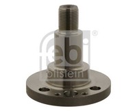 Febi Bilstein 30501 Achszapfen, AchsköRper FüR Audi Seat Skoda VW