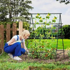 A Frame Cucumber Trellis Black Metal Plant Support for Vines Vegetables Grapes
