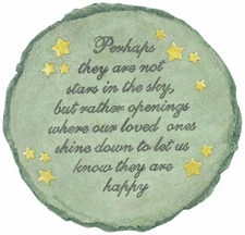 Spoontiques Perhaps They are Not Stars