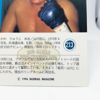 213 RYUJI YAMAKAWA CARD BIG JAPAN PRO WREITLING CARD BBM96 1996