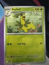 Bayleef 9/217 Ascended Heroes Non Holo