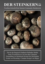 DER STEINKERN 64: Bergisch Gladbach - Holzmaden - Rügen - Wyoming (USA) uvm.
