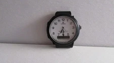 Timex  Watch # 3897