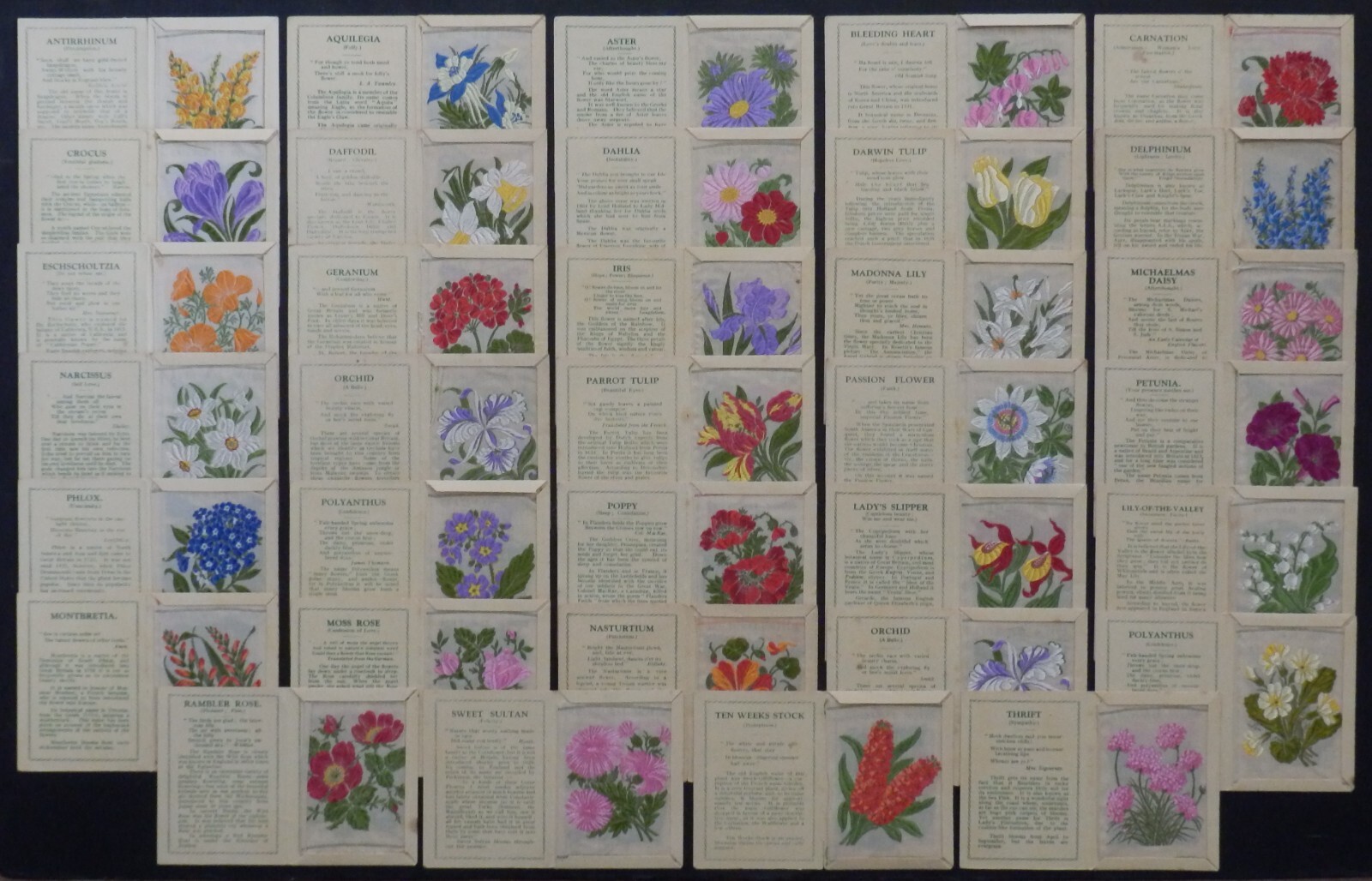 KENSITAS SILK FLOWERS 1st Series Medium 34 x Silks ALL PLAIN BACKS eBay