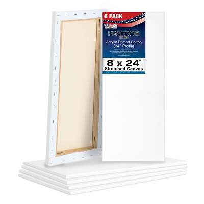 6 Pack of U.S. Art Supply 8'' x 24'' Acrylic Primed Cotton Stretched Canvas