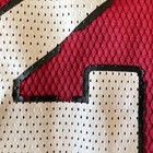 Reebok Arizona Cardinals Rodgers Cromartie #29 NFL Jersey Youth L 14-16 (Wear) — photo 4