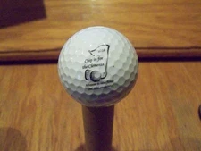 2018 CHIP IN FOR THE CLEMENTS   LOGO GOLF  BALL VICE