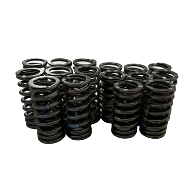 16PCS OEM Exhaust & Intake Valve Springs For VW Golf Jetta Audi A4 