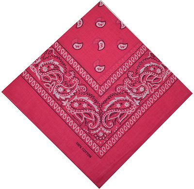 Bandana Halstuch Biker Nikki Paisley Kopftuch Baumwolle Piratentuch Mundschutz