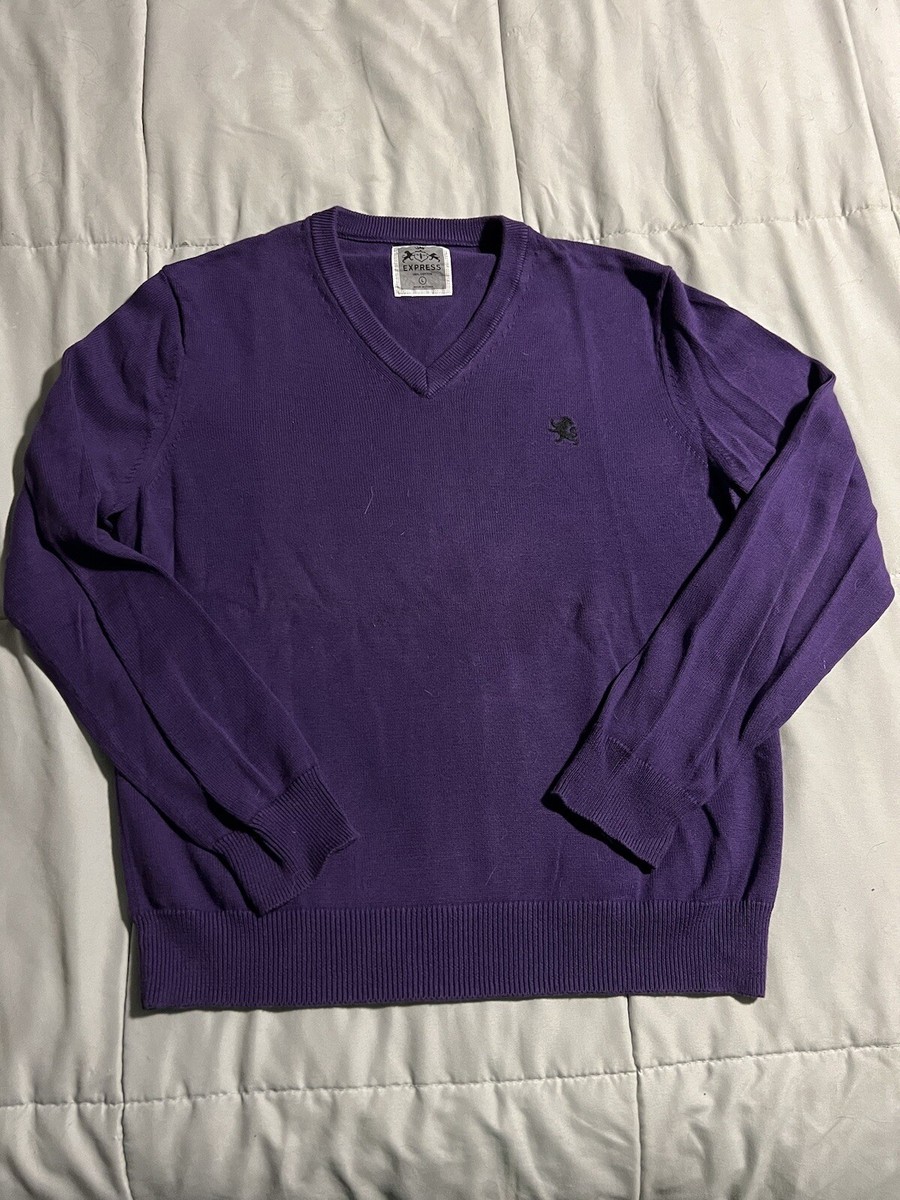 Express V-Neck Sweater Size L Purple