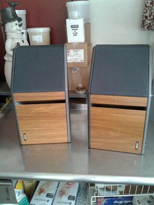 bose 4.2 everywhere speakers