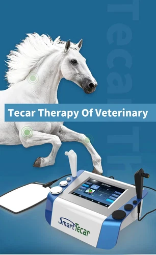 488 Khz Tecar Ret Cet Physical Equine Therapy Physiotherapy Animal Pain Relief - 第 8/15 張圖片