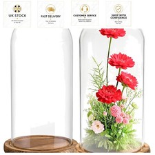 Hand-Blown Glass Cloche Showcase with Wooden Base, 2 Pack - Beautiful Home Decor
