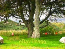 Photo 6x4 Rope Swing at Lagavulin A novel use for boat fenders near Lagav c2007