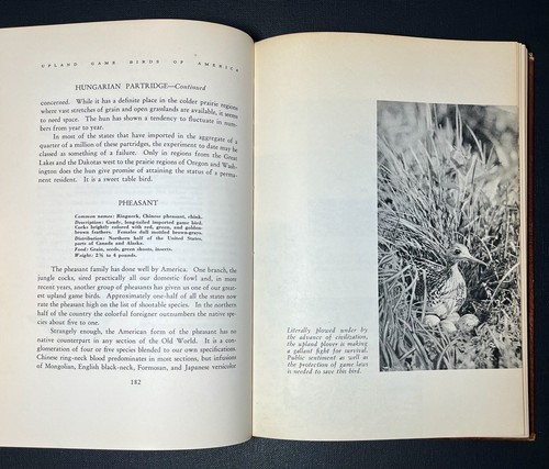 1940s VINTAGE book ILLUS Fishing HUNTING animals SPORTS nature WILDLIFE Outdoors - Picture 7 of 24