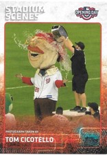 TOM CICOTELLO 2015 Topps Opening Day STADIUM SCENES - NATIONALS PARK - #STA-TC