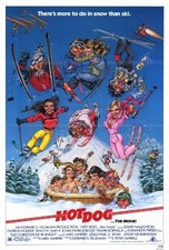 Hot Dog the Movie 27 x 40 Poster - Style A 40"L x 27"W