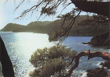 83 PRESQUILE DE GIENS LA COTE SAUVAGE