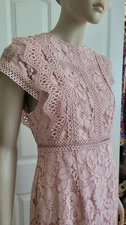 Baltic Born Blush Pink Lace Midi Nessa Dress Bridal M Nwt