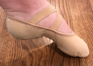 hanami canvas ballet shoes
