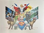 Harley Quinn Poster Art Print 12x16 Frank Cho poison ivy powergirl catwoman