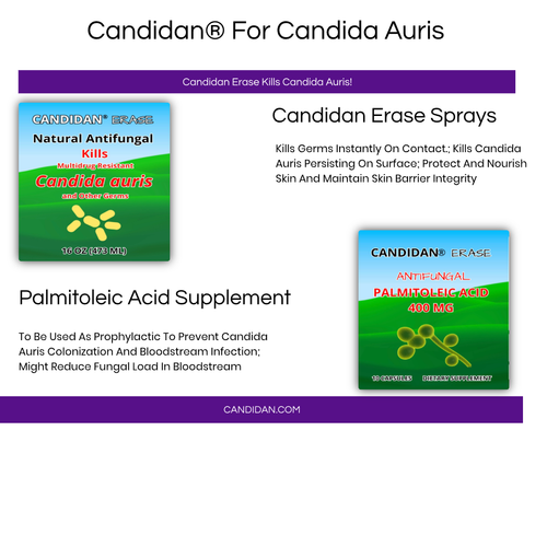 Candidan® Erase Kills Candida auris Natural Antifungal 16 OZ Spray Topical eBay