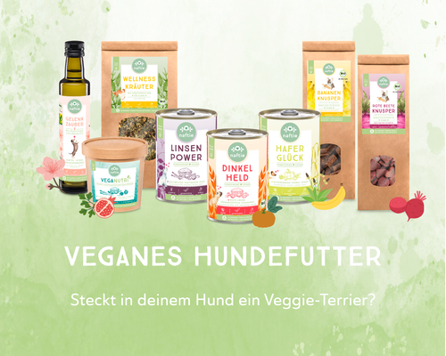 naftie Bio Linsen Power veganes Hundefutter Nassfutter Menü, 6x 800g - Bild 6 von 10