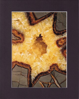 8X10'' Matted Print Art Picture Rock Inside Cut Stone: Septarium