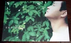 Leslie Cheung Printemps 1998 Promo POSTER 張國榮 春天 專輯 官方宣傳海報