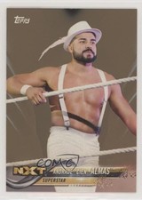 2018 Topps WWE Bronze Andrade Cien Almas #7 1z6